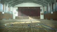 School Gymnasium (DW9E)