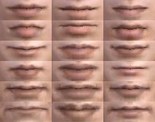 Male Lips (DWN)
