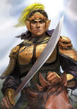 Romance of the Three Kingdoms XII portrait