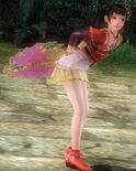 Fourth costume in Musou Orochi Z