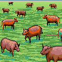 Herd - A group of cows found in every province. Requires herders to effectively grow in numbers.