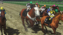 Champion Jockey/DLC | Koei Wiki | Fandom