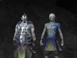 Unit Types (Warriors Orochi)