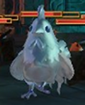 Silver Cucco