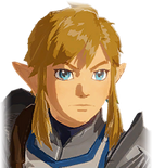 Link's Default Portrait