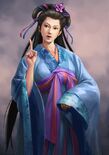 Romance of the Three Kingdoms XII~XIV portrait