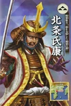 Chou Visual! Sengoku Bushou Great Encyclopedia illustration
