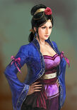 Romance of the Three Kingdoms XII~XIV portrait