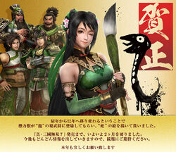 WILD HEARTS, Koei Wiki