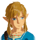 Champion Link's Sad Portrait