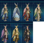 Valkyrie costume set