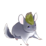 Urakusai Oda (SQK).png (54 KB) Shirohime Quest Kiwami portrait