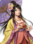 Romance of the Three Kingdoms XIV/Sangokushi Hadou portrait