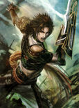 Dynasty Warriors 8 artwork