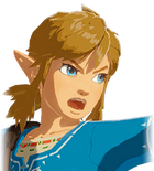 Champion Link's Angry Portrait