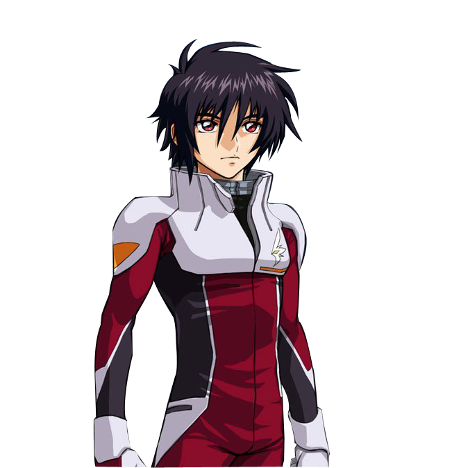 Shinn Asuka | Koei Wiki | Fandom