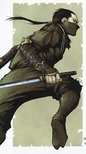 Sengoku Bushou Kanzen Visual Guide illustration
