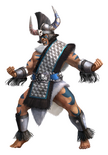 Berserker Garb costume set