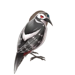 Shirohime Quest Kiwami portrait