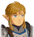 Link's Happy Portrait