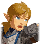 Link's Angry Portrait