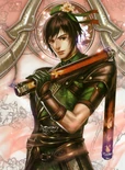 Dynasty Warriors 8 artwork