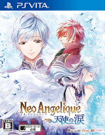 Neo Angelique Abyss, Anime Review