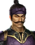 Dynasty Warriors: Dominate portrait