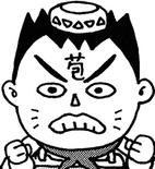 Bakushō Sangokushi Biographical Dictionary appearance