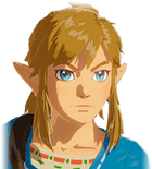 Champion Link's Default Portrait