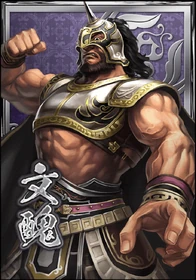 Shin Sangoku Musou Blast portrait