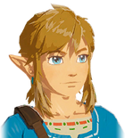 Champion Link's Happy Portrait