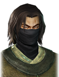 Dynasty Warriors 7 & 8 portrait