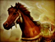 Persian Mare from Samurai Warriors 2.