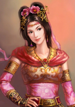 Romance of the Three Kingdoms XI portrait