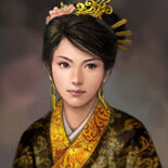 Romance of the Three Kingdoms XI portrait