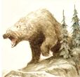 Kategoria:Zwierzęta (23 KB) Fauna