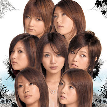Can T Stop Fallin In Love Ldh Girls Wiki Fandom Can T Stop Fallin In Love Ldh Girls Wiki Fandom
