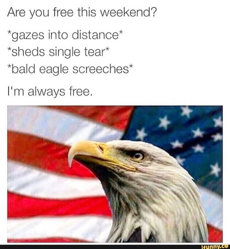 wickipidea 4th of july