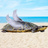 LongTurtle's avatar