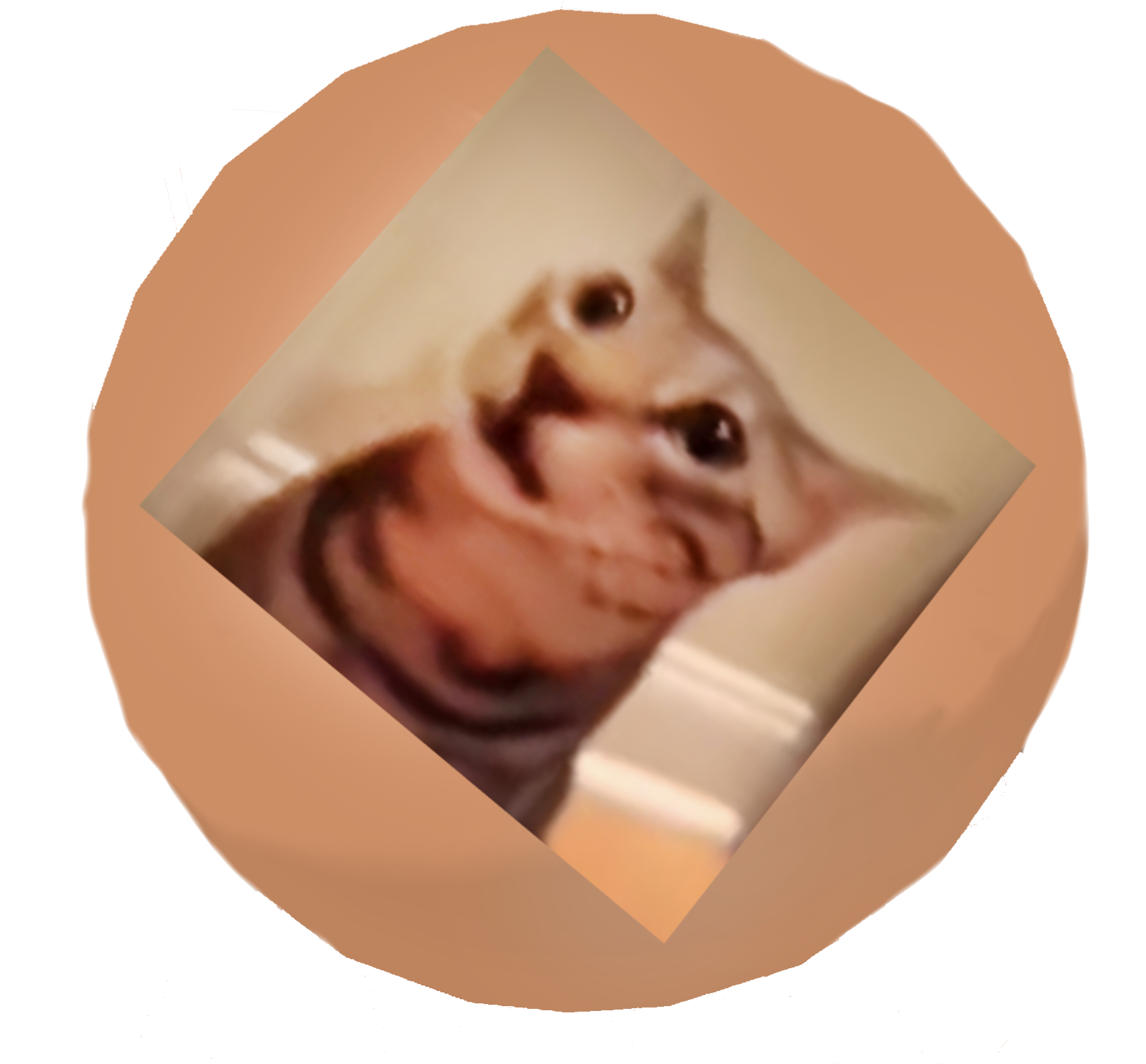 Where Did Ball 2x Go It Was A Joke Fandom