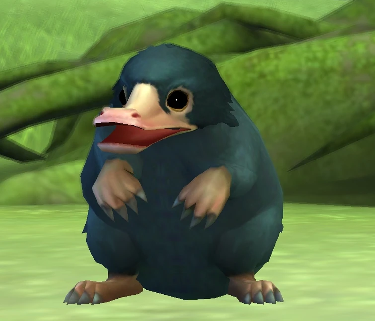 What is your favorite creature from the Harry Potter universe? Why?