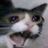 MichiFan934's avatar