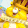 Birdie2929