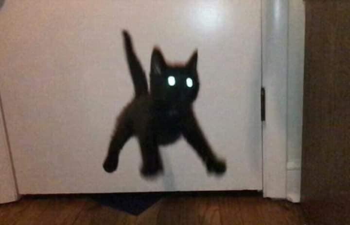 should i draw this cursed cat pic I found as some CoS creature (of ...