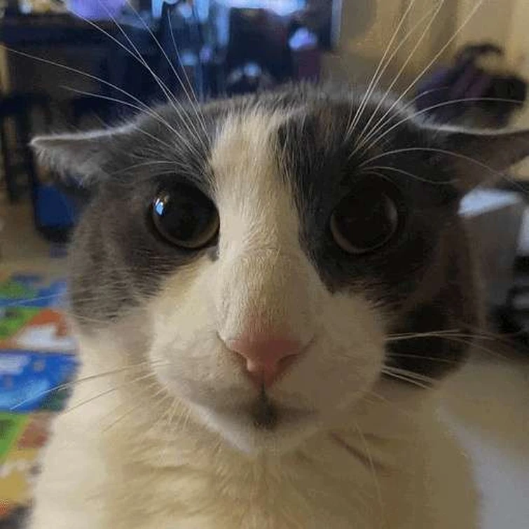 rage is consuming me | Fandom