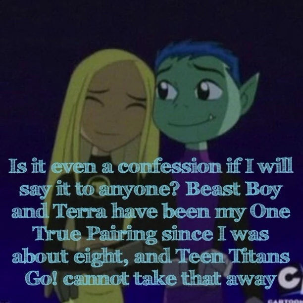 For the last my feelings about Beast boy and Terra Fandom
