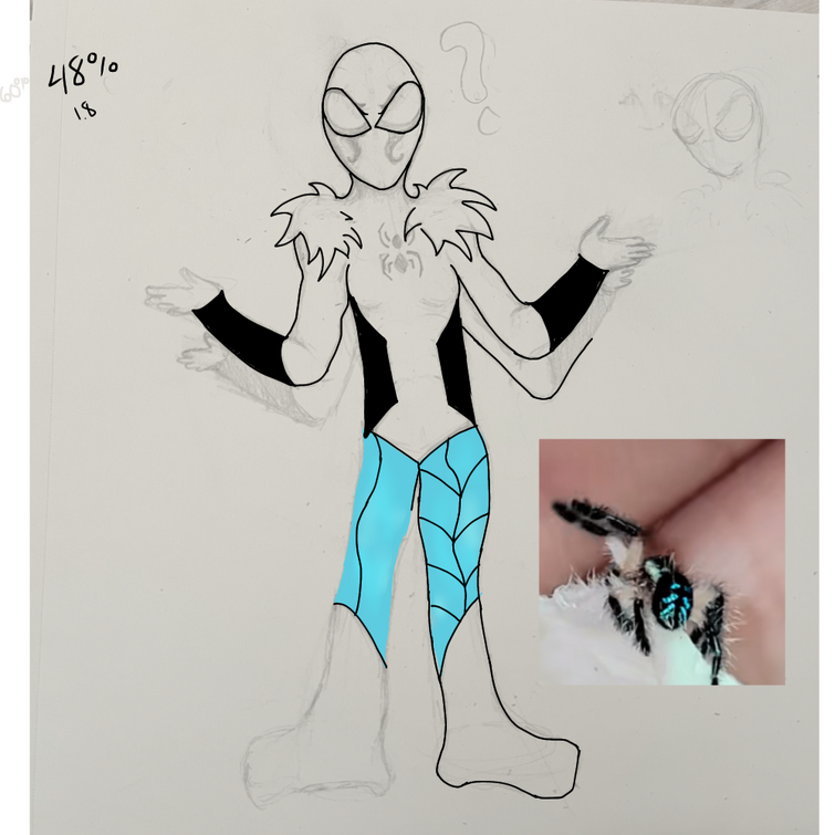 Spidersona Projects  Photos, videos, logos, illustrations and