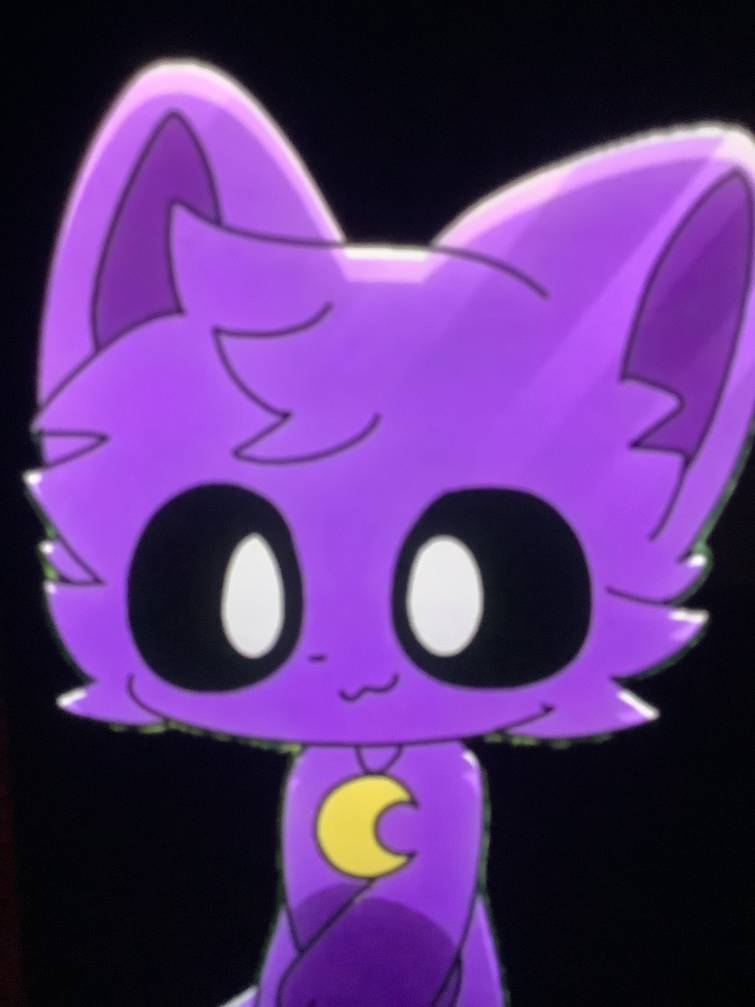 Cute catnap Fandom