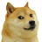 Doge325's avatar